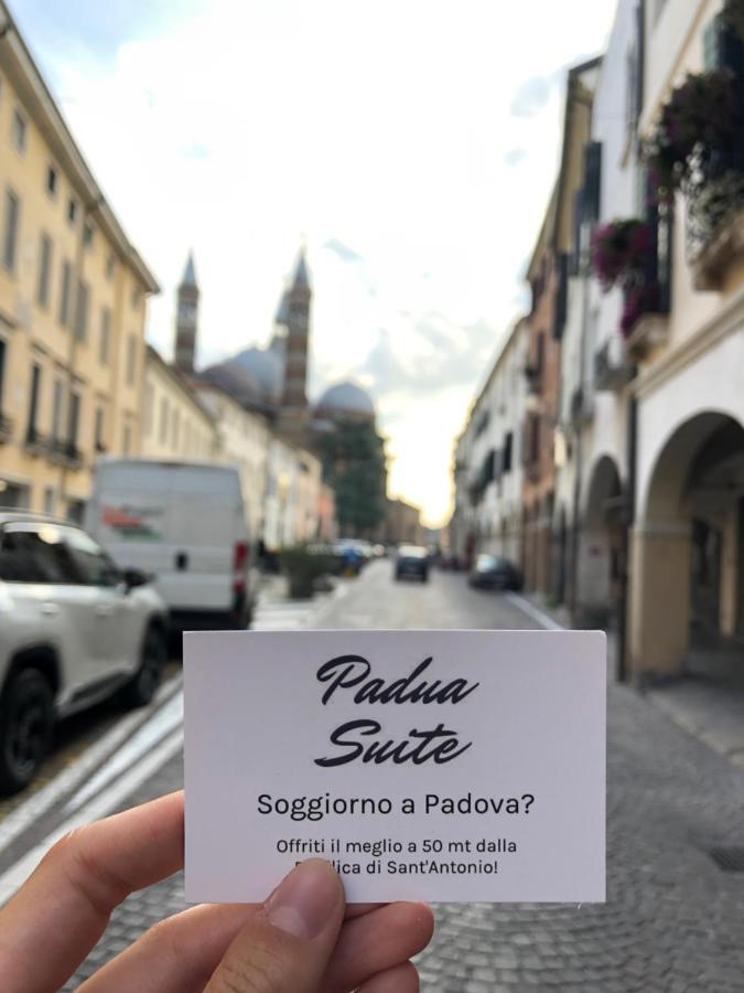 Padua Suite Pensión *